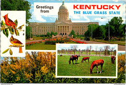 Kentucky Greetings From The Bluegrass State - Souvenir De...