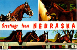 Greetings From Nebraska With Horses - Souvenir De...