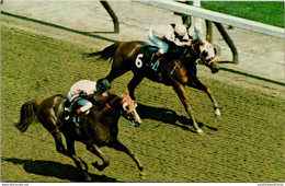 West Virginia Charles Town Race Track Horses Into The Stretch - Andere & Zonder Classificatie