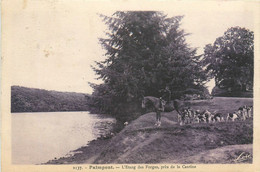 Paimpont - L'étang Des Forges Près De La Cantine - Chasse à Courre - Cavalier Et Meute - Vénerie - Paimpont