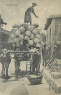 CHYPRE - LOADING OF JARS -  - ( Chy-04 ) Voir Lles Scans Recto Verso  - - Chypre