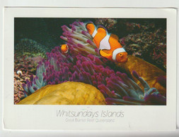 Ansichtkaart-postcard Whitsundays Islands Great Barrier Reef Queensland (AUS) - Great Barrier Reef