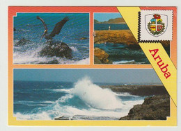 Ansichtkaart-postcard The Waters Around Aruba (N-A) - Aruba