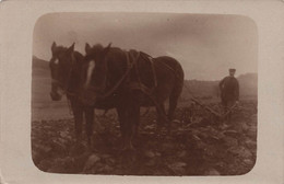 CPA - Photographie - Agriculteur - Paysan Dans Son Champs En Train De Labourer - Soc - Attelage De Chevaux - Fotografia