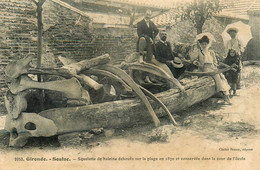 Soulac Sur Mer * Squelette De Baleine échouée En 1870 Et Conservée Dans La Cour De L'école * Enfants Villageois - Soulac-sur-Mer