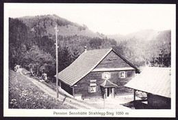 1929 Pension Sennhütte Strahlegg Steg, Gelaufene AK, Gestempelt STEG - Egg