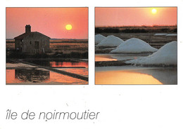 ILE-de-NOIRMOUTIER  -  Lot De 14 Cartes  -  L'Herbaudière, Port, Passage Du Gois, L'Epine, Plage, Calvaire ........ - Ile De Noirmoutier