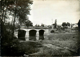 Guémené Penfao * Vue Sur Le Grand Pont - Guémené-Penfao