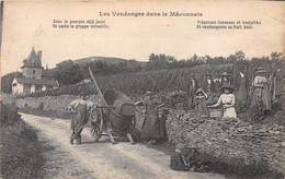 71-LES-VENDANGES DANS LEMÂCONNAIS - Macon