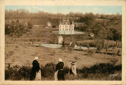 Guémené Penfao * Vue Générale Des Domaines Du Château De Juzet * Coiffe - Guémené-Penfao