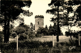 Guémené Penfao * Le Donjon De La Grée Bréhaut - Guémené-Penfao