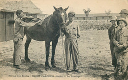 VAL DE MARNE  ARCUEIL  Ferme Des écoles  Croix D'arcueil Le Pansage (chevaux ) - Arcueil