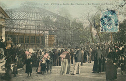 PARIS  Jardin Des Plantes  La Maison Des Singes - Parcs, Jardins