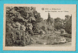 * Schaarbeek - Schaerbeek (Brussel - Bruxelles) * (Cliché F. Walschaerts, Nr 252) Au Parc Josaphat, Vue Sur L'étang, Lac - Schaerbeek - Schaarbeek