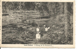 Saint-hubert Etang De La Potasserie - Saint-Hubert