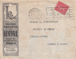 Thème Lions - France Lettre - Raubkatzen