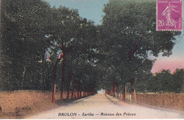 BRULON(ARBRE) - Brulon