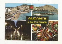 Cp, Espagne ,ALICANTE, La Casa De La Primavera ,aspectos ,divers Aspects, Multivues, écrite - Alicante