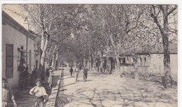 Algérie - Blida - Avenue Des Moulins - Blida
