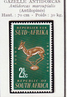 AFRIQUE DU SUD - Faune, Gazelle Antidorcas - 1964 - MNH - Nuevos