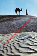 Desert - United Arab Emirates ٱلْإِمَارَاتُ ٱلْعَرَبِيَّةُ ٱلْمُتَّحِدَةُ - United Arab Emirates