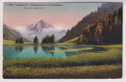 Toggenburg - Gräppelensee Mit Schfberg - Photo Dr. Arnold Heim - Berg