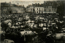 Châteaubriant * Place De La Motte Un Jour De Marché * Foire Aux Boeufs Bestiaux Marchands - Châteaubriant