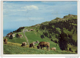 RIGI-Staffel Und RIGI Kulm, Mit Vitznau- Und ARTH-RIGI-Bahn, Alpen Idylle, Nice Stamp, Marken: PRO PATRIA - Arth