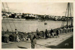 Audierne * Le Port Et Vue Sur Poulgoazec * Casiers Pêche Pêcheurs - Audierne