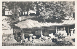 Avenches - Antiquités Romaines, Partie Du Musée        Ca. 1930 - Avenches