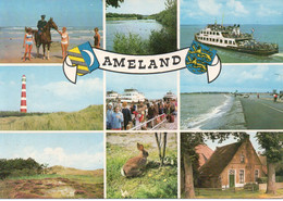 012228  Ameland  Mehrbildkarte - Ameland