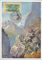 63511 - CZECHOSLOVAKIA - POSTAL HISTORY: MAXIMUM CARD 1957 -  FLOWERS - Non Classificati