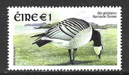 IRLANDE. N°1406 De 2002. Bernache. - Gänsevögel