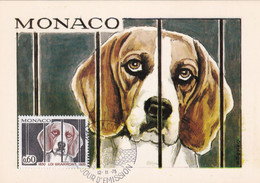Thème Chiens - Monaco - Carte Maximum - Dogs