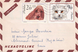 Thème Chiens - Pologne - Enveloppe - Honden