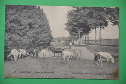 Gedinne 1912: Route De Beauraing - Gedinne