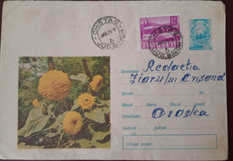 Chistag  County Bihor, Envelope Romania 1970, Plants,flowers, Cancel Chistag County  Bihor Romania - Cartas & Documentos