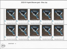 Nederland  2022-8 Vogels:  Blauwe Gaai - Blue Jay Vel-sheetlet    Postfris/mnh/neuf - Nuovi