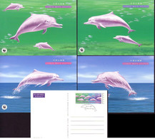 Hong Kong China WWF Chinese White Dolphin Local Pre-paid Cards 1999 - Oblitérés