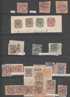 Deutsche Kolonien - Togo: 1892/1919 (ca.), Sammlung Auf Albenseiten, Einiges Meh - Colonia: Togo