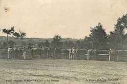 Bonnavoix , Mouhers * La Ferme Hippique * Haras Chevaux Hippisme Cheval écurie - Autres & Non Classés