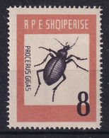 ALBANIA 1963 - MNH - Mi 737 - Procerus Gigas - Albania