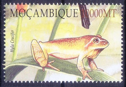 Spring Peeper (Hyla Crucifer) Frog, Mozambique 2003 MNH - Rane