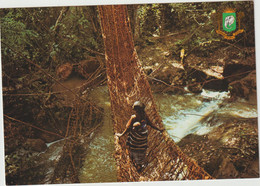 Côte D ' Ivoire : Le Pont  D E Lianes  De  Gouesseso , Région  De  Man - Côte-d'Ivoire