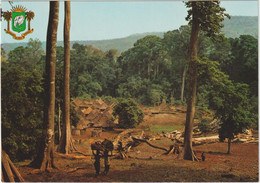 Côte D ' Ivoire : Village  De  La  Foret - Côte-d'Ivoire