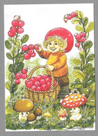 Troll Mushroom Amanita Berries Gnome Champignon Amanite Tue-mouches Fliegenpilz Pilz Gnom Illustr. Marjaliisa Pitkäranta - Champignons