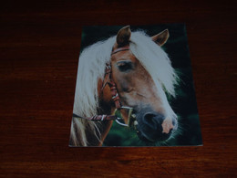 53112-                     HORSE, HORSES, PAARDEN, PFERDE, CHEVAUX - Pferde