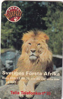 SWEDEN - Lion, Boras Djurpark, CN : C47145689, Tirage %50000, 05/94, Used - Giungla
