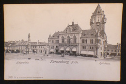 Korneuburg Rathaus - Korneuburg