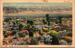 Barrel Cactus On The Desert 1937 Curteich - Cactusses